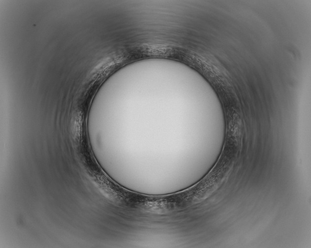 X0000112170744200908281339