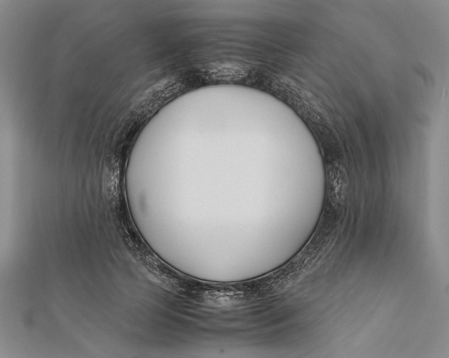 X0000112170745200908281339