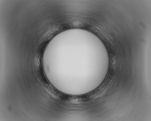 X0000112170746200908281339