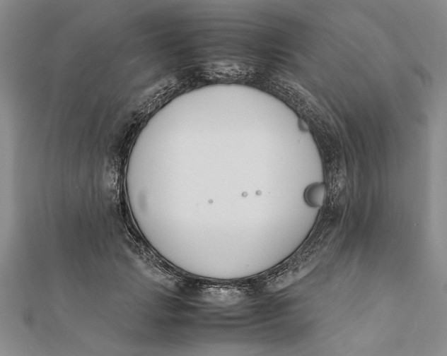 X0000112170749200908281339