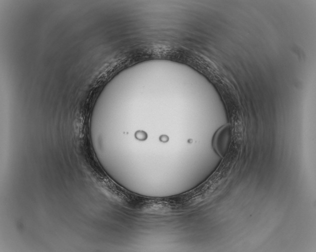 X0000112170750200908281339