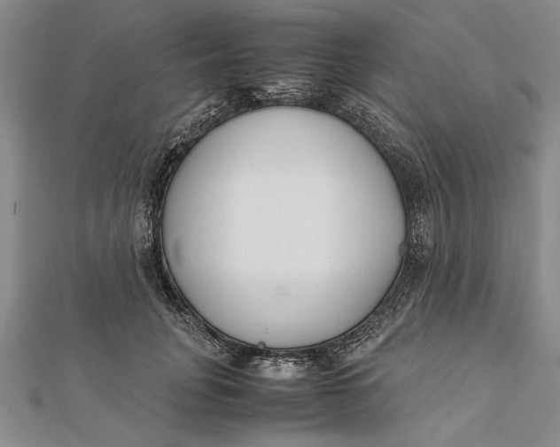 X0000112170751200908281339