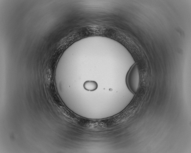 X0000112170752200908281339