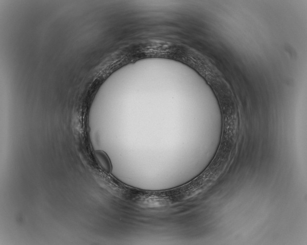 X0000112170755200908281339