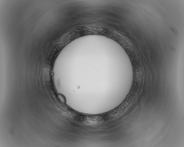 X0000112170757200908281339