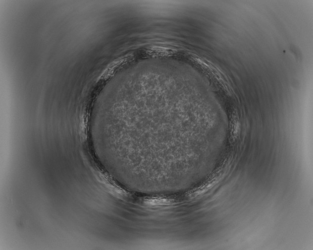 X0000112170759200908281339