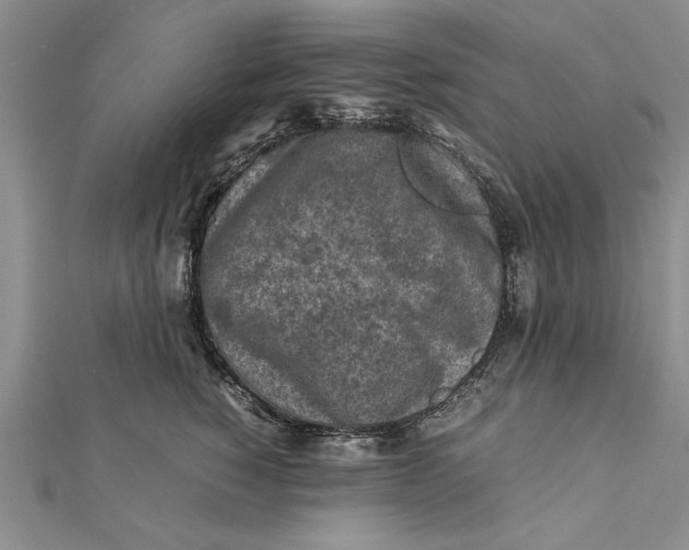 X0000112170760200908281339