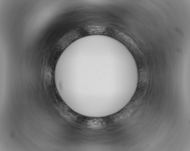 X0000112170761200908281339