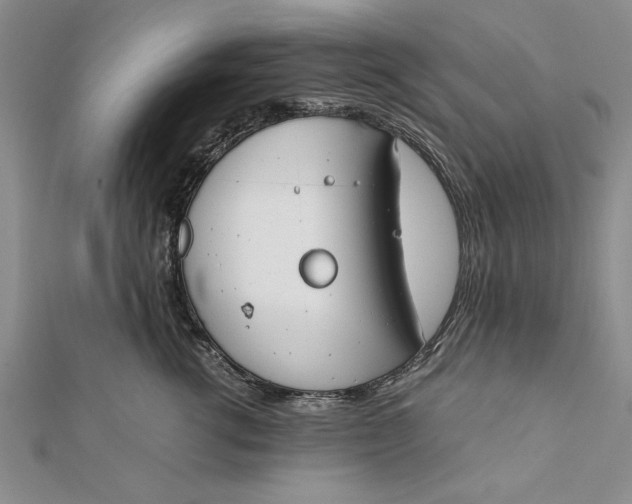 X0000112170762200908281339