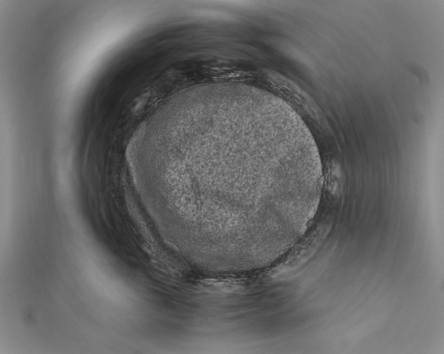 X0000112170763200908281339