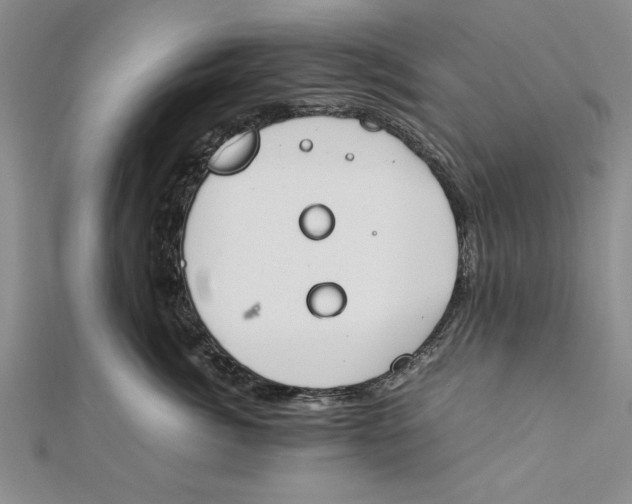 X0000112170764200908281339