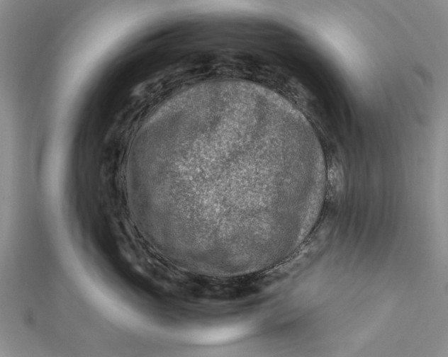 X0000112170765200908281339