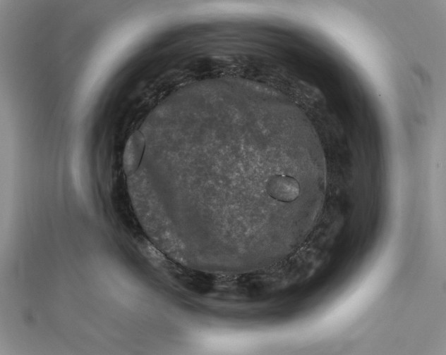 X0000112170766200908281339