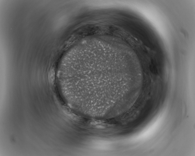 X0000112170767200908281339