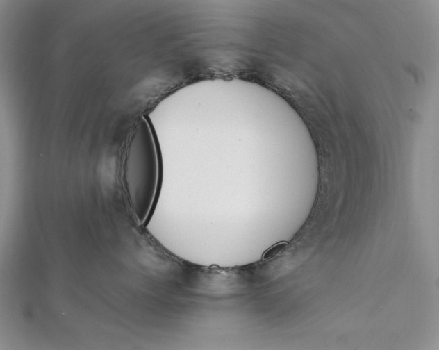 X0000112170768200908281339