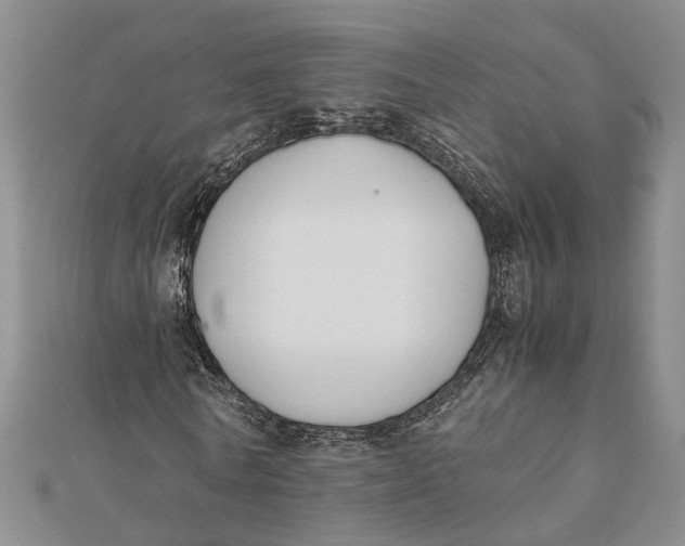 X0000112170770200908281339