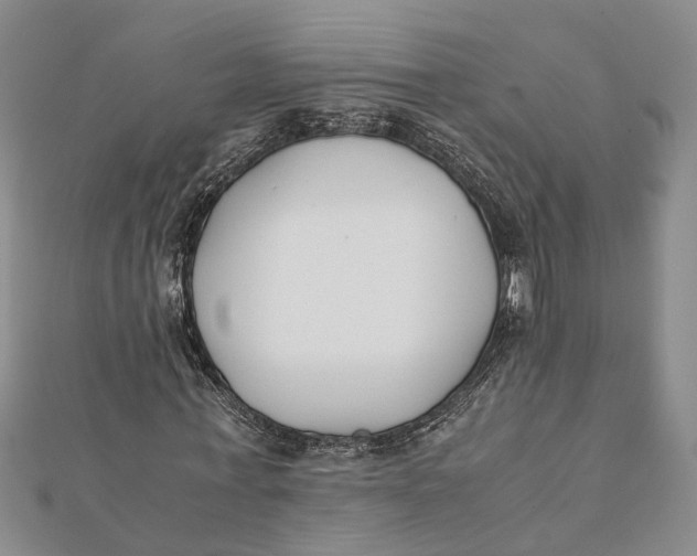 X0000112170771200908281339