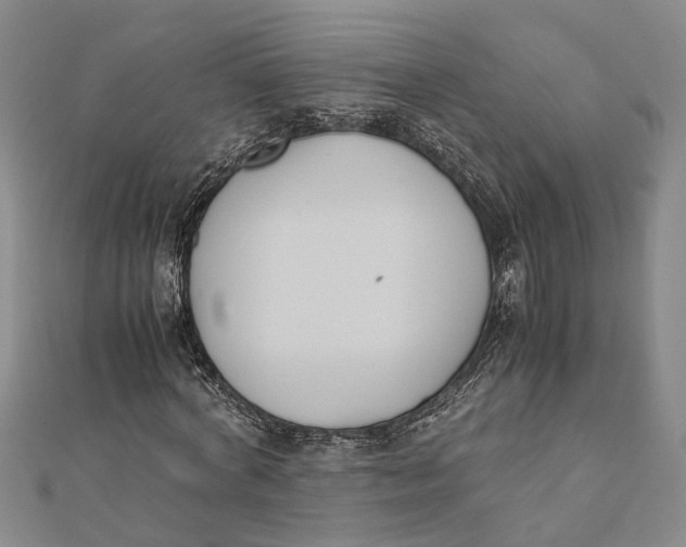 X0000112170772200908281339