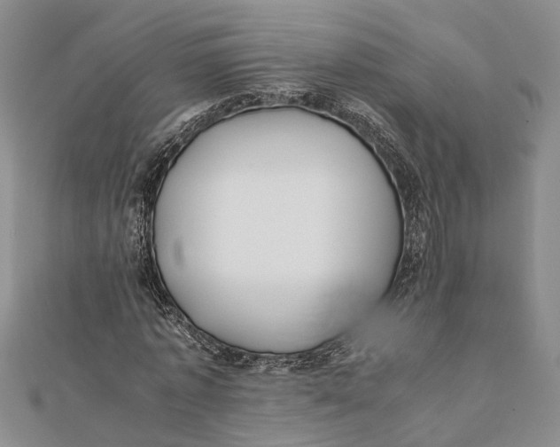 X0000112170773200908281339