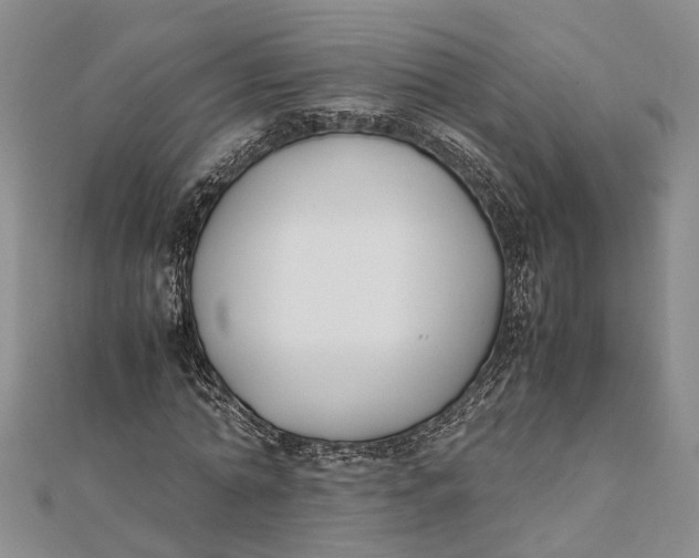 X0000112170774200908281339