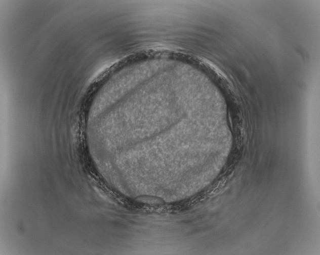 X0000112170775200908281339