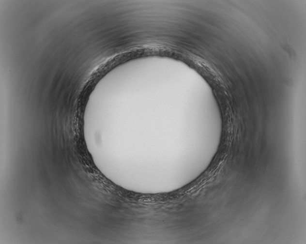 X0000112170776200908281339