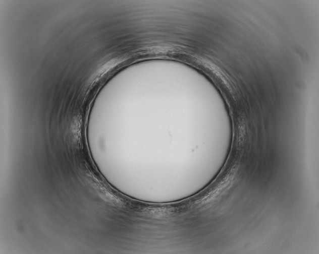 X0000112170778200908281339