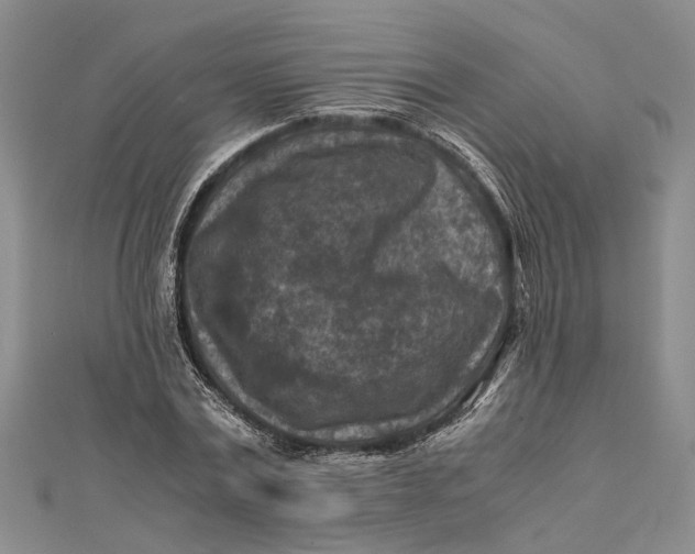 X0000112170779200908281339