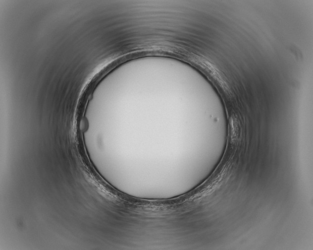 X0000112170780200908281339