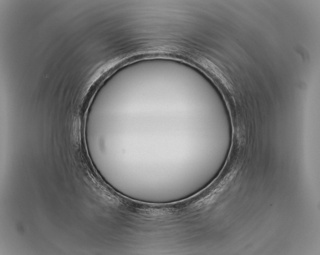 X0000112170781200908281339