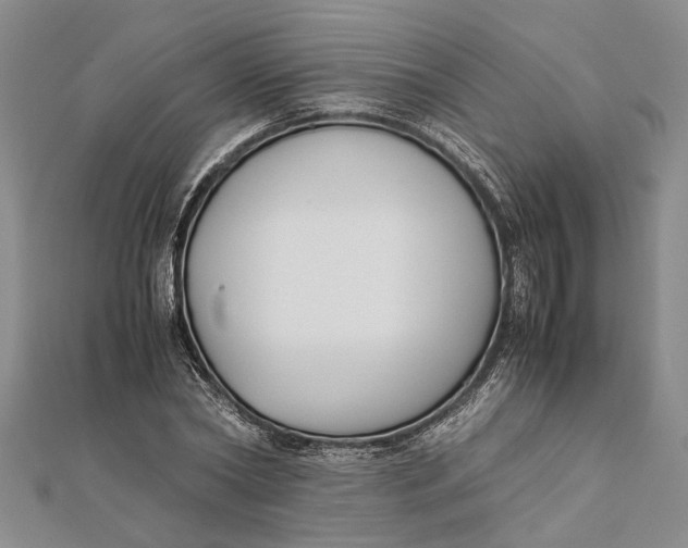 X0000112170782200908281339