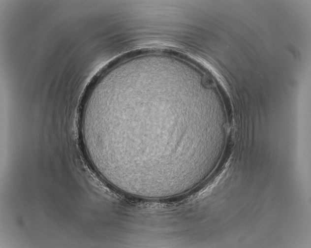 X0000112170783200908281339