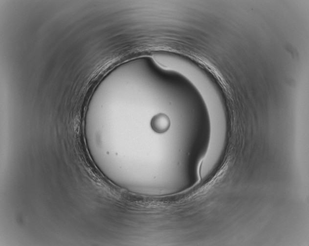 X0000112170785200908281339