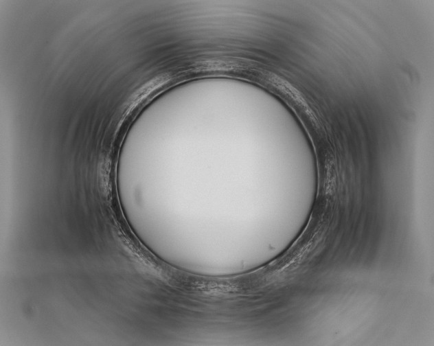 X0000112170786200908281339