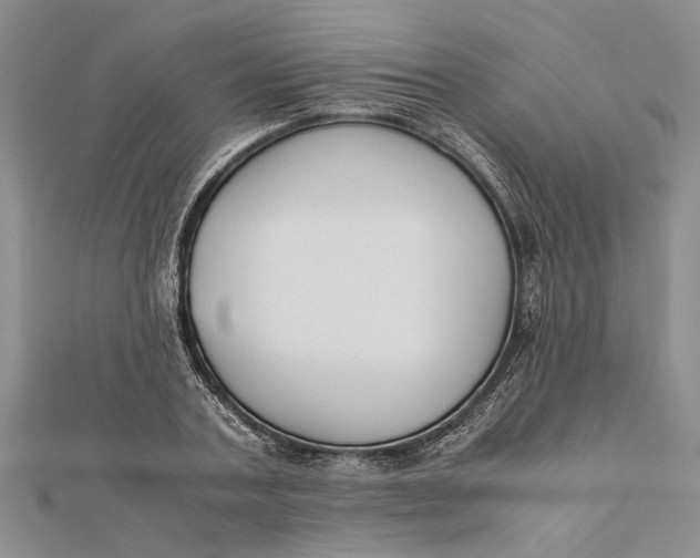 X0000112170787200908281339