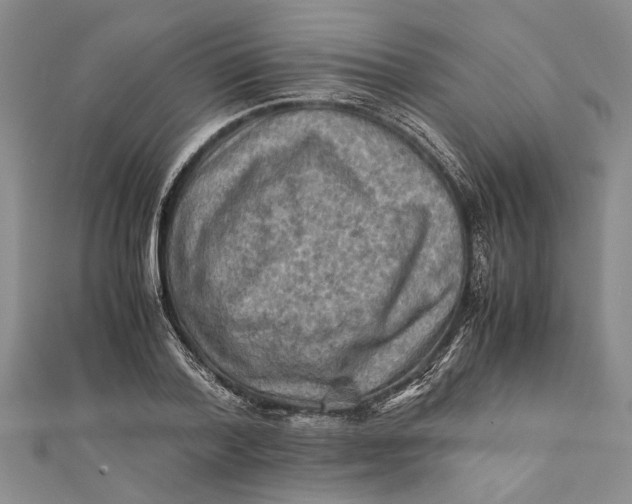 X0000112170788200908281339