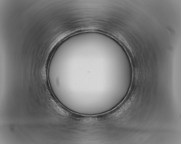 X0000112170789200908281339