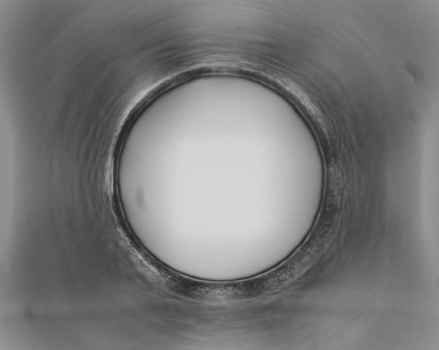 X0000112170791200908281338