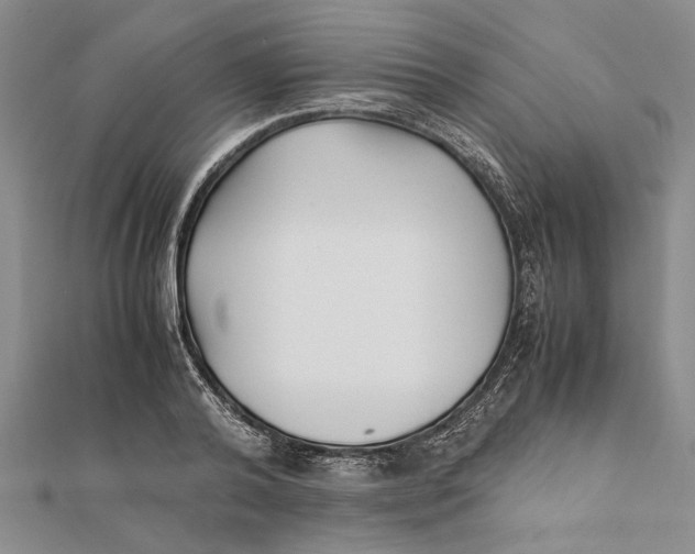 X0000112170792200908281338