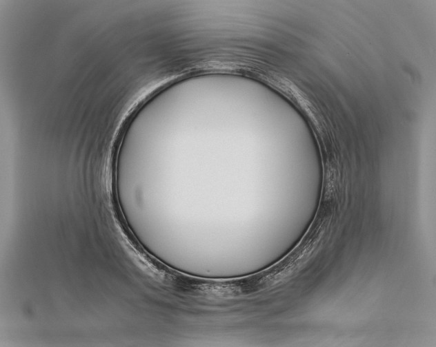 X0000112170795200908281338