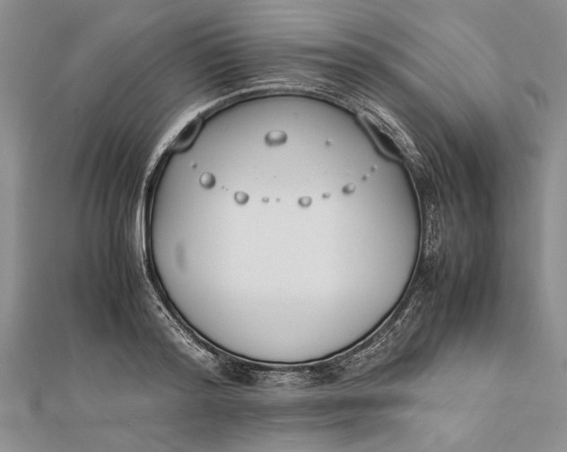 X0000112170796200908281338