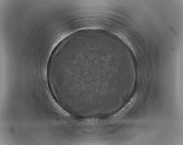 X0000112170797200908281338