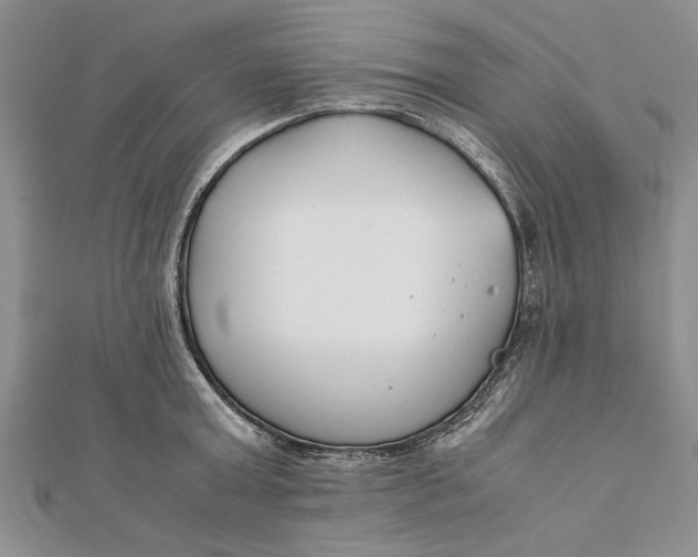 X0000112170803200908281338