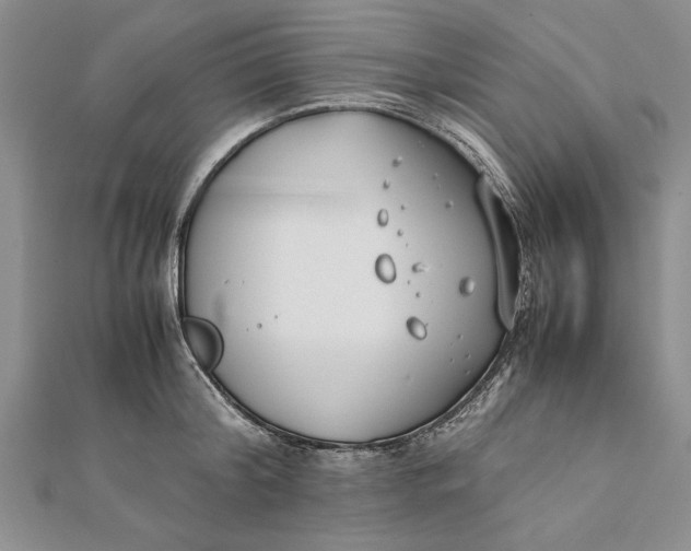 X0000112170804200908281338