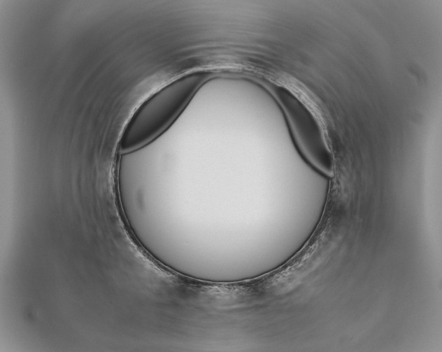 X0000112170805200908281338