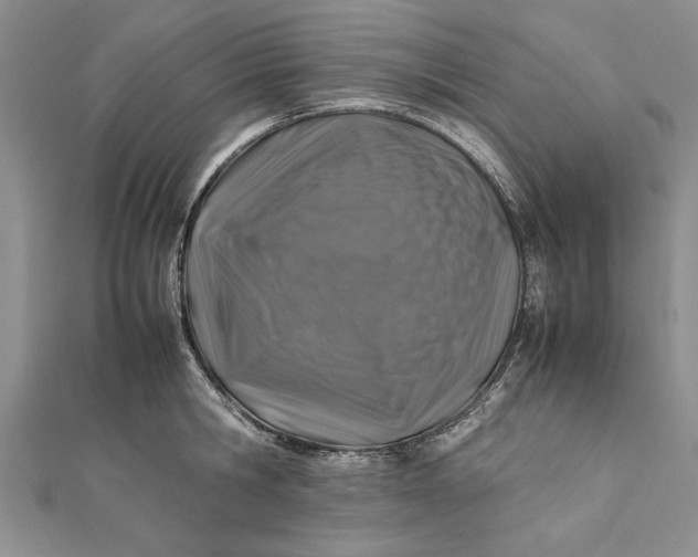 X0000112170806200908281338