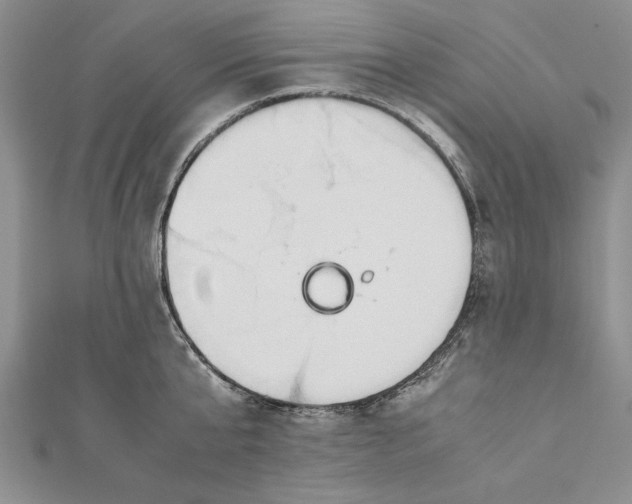 X0000112170807200908281338