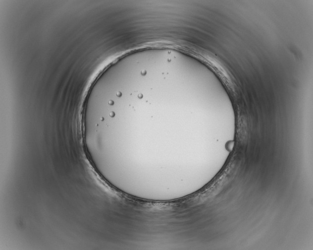 X0000112170808200908281338