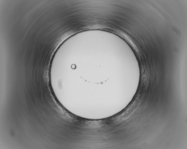 X0000112170810200908281338