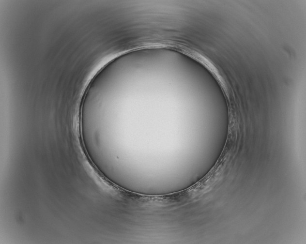 X0000112170811200908281338